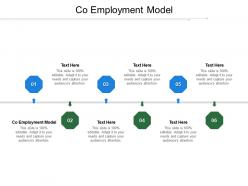 Co employment model ppt powerpoint presentation infographic template format cpb