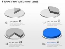 Co four pie charts with different values powerpoint template
