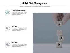 Cobit risk management ppt powerpoint presentation layouts diagrams cpb