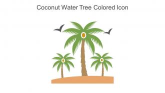 Coconut Water Tree Colored Icon In Powerpoint Pptx Png And Editable Eps Format