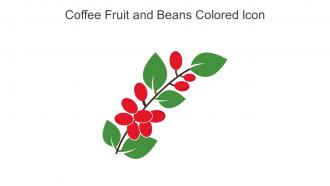 Coffee Fruit And Beans Colored Icon In Powerpoint Pptx Png And Editable Eps Format