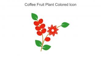 Coffee Fruit Plant Colored Icon In Powerpoint Pptx Png And Editable Eps Format