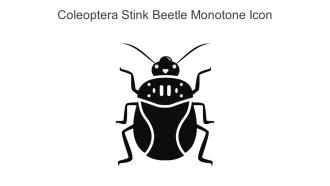 Coleoptera Stink Beetle Monotone Icon In Powerpoint Pptx Png And Editable Eps Format