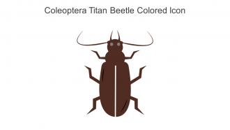 Coleoptera Titan Beetle Colored Icon In Powerpoint Pptx Png And Editable Eps Format