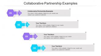 Collaborative Partnership Examples Ppt Powerpoint Presentation Styles Cpb