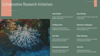 Collaborative Research Initiatives Coral Bleaching PPT Presentation ST AI SS