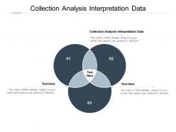 Collection analysis interpretation data ppt powerpoint presentation gallery cpb