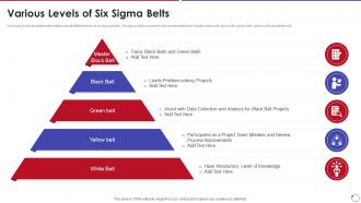 Collection Of Quality Control Various Levels Of Six Sigma Belts