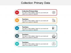 Collection primary data ppt powerpoint presentation styles format ideas cpb