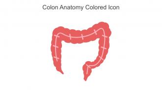 Colon Anatomy Colored Icon In Powerpoint Pptx Png And Editable Eps Format