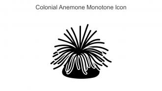 Colonial Anemone Monotone Icon In Powerpoint Pptx Png And Editable Eps Format