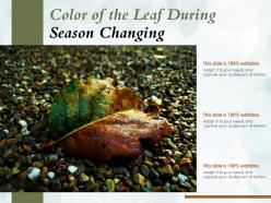 Color of the leaf during season changing