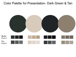 Color palette for presentation dark green and tan