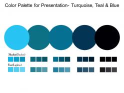 Color palette for presentation turquoise teal and blue