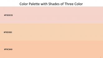 Color Palette With Five Shade Albescent White Dairy Cream Apricot Peach