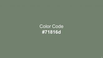 Color Palette With Five Shade Albescent White Rodeo Dust Camouflage Green Birch Appealing Researched
