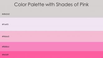 Color Palette With Five Shade Alto Snuff Azalea Persian Pink Hot Pink