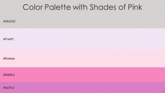 Color Palette With Five Shade Alto Snuff Classic Rose Persian Pink Shocking