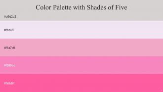 Color Palette With Five Shade Alto Snuff Illusion Persian Pink Hot Pink