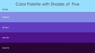 Color Palette With Five Shade Anakiwa Chetwode Blue Purple Heart Persian Indigo Violet