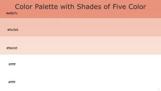 Color Palette With Five Shade Apricot Mandys Pink Champagne White White