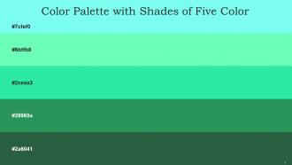 Color Palette With Five Shade Aquamarine Aquamarine Turquoise Eucalyptus Plantation