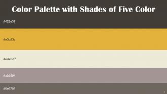 Color Palette With Five Shade Armadillo Anzac White Rock Dusty Gray Flint
