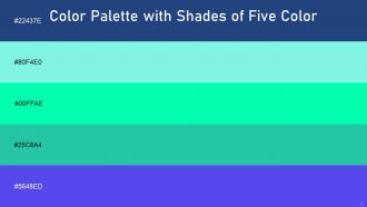 Color Palette With Five Shade Bay Of Many Spray Spring Green Java Royal Blue