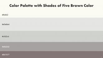 Color Palette With Five Shade Bianca Gray Nurse Celeste Silver Chalice Empress
