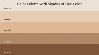 Color Palette With Five Shade Bizarre Hampton Brandy Teak Ironstone