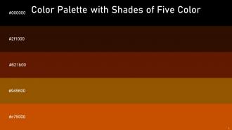 Color Palette With Five Shade Black Brown Pod Cedar Wood Finish Brown Burnt Orange