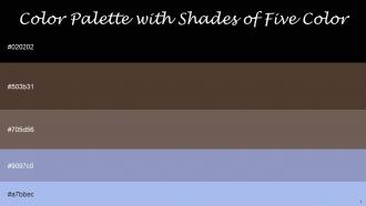 Color Palette With Five Shade Black Judge Gray Pine Cone Blue Bell Perano