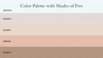 Color Palette With Five Shade Black Squeeze Pearl Bush Bone Rose Fog Sandrift