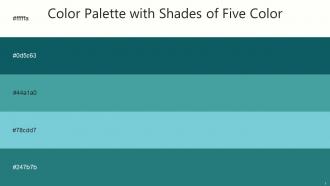 Color Palette With Five Shade Black White Deep Sea Green Keppel Bermuda Lochinvar
