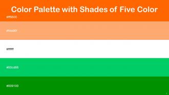 Color Palette With Five Shade Blaze Orange Atomic Tangerine White Jade Japanese Laurel