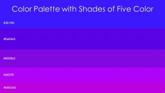 Color Palette With Five Shade Blue Violet Electric Violet Electric Violet Electric Violet