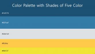 Color Palette With Five Shade Blumine Astral Iron Bright Sun Jaffa