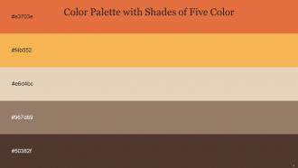 Color Palette With Five Shade Burnt Sienna Casablanca Double Spanish White Cement Judge Gray