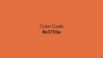 Color Palette With Five Shade Burnt Sienna Casablanca Double Spanish White Cement Judge Gray Colorful Visual