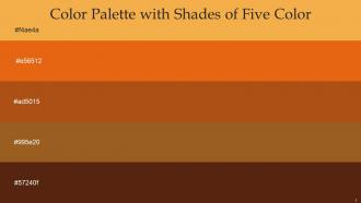 Color Palette With Five Shade Casablanca Tango Fiery Orange Rope Redwood