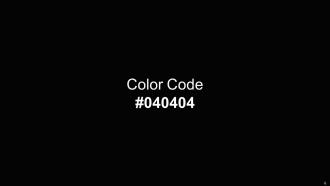 Color Palette With Five Shade Celeste Blue Chill Surfie Green Eden Black Designed Analytical
