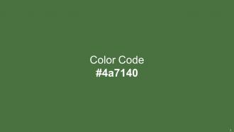 Color Palette With Five Shade Celtic Fern Green Fire Bush Orange Roughy Cognac Colorful Researched