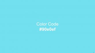 Color Palette With Five Shade Cerulean Picton Blue Spray Ice Cold Humming Bird Interactive Visual