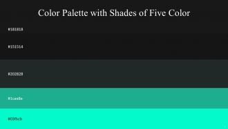 Color Palette With Five Shade Cod Gray Cod Gray Outer Space Mountain Meadow Bright Turquoise