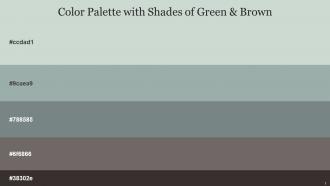 Color Palette With Five Shade Conch Edward Sirocco Dove Gray Dune