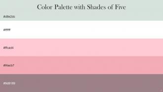 Color Palette With Five Shade Conch White Pastel Pink Wewak Mountbatten Pink