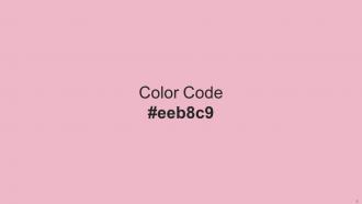 Color Palette With Five Shade Deep Blush Shocking Beauty Bush We Peep Carousel Pink Informative Impressive