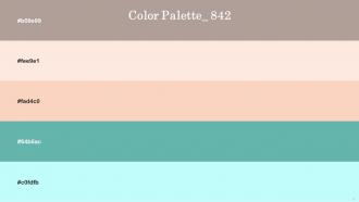 Color Palette With Five Shade Del Rio Cinderella Dairy Cream Tradewind French Pass