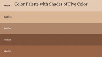 Color Palette With Five Shade Double Spanish White Brandy Sandal Spicy Mix Cape Palliser