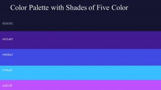Color Palette With Five Shade: Ebony-Daisy Bush-Royal Blue-Dodger Blue-Heliotrope